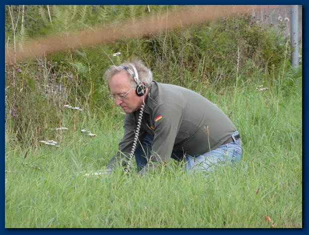 600x449 pixels (149K)